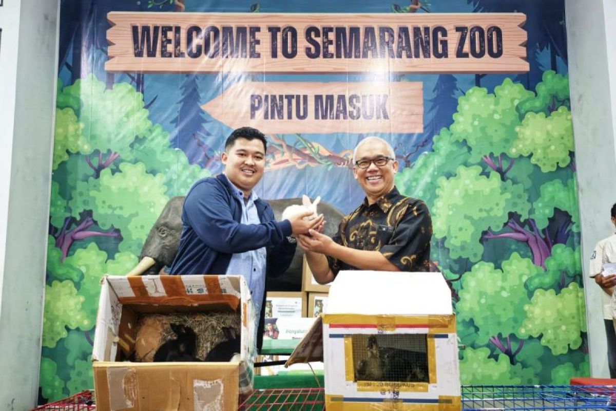 Koleksi Satwa Baru Semarang Zoo 2025 Tambah Spesies