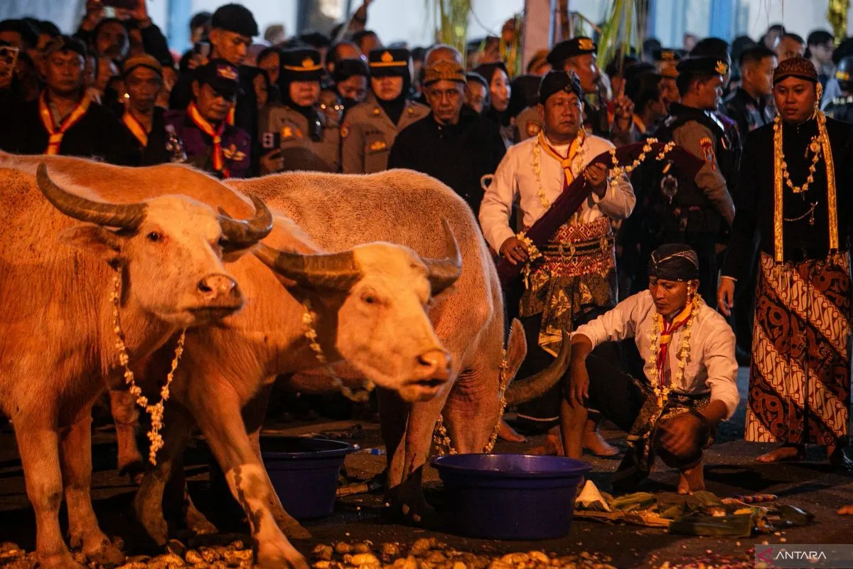 Malam 1 Suro 2025: Tradisi, Ritual, dan Larangan Budaya Jawa