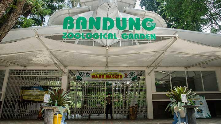 Kebun Binatang Bandung Rugi Rp2 Miliar Setelah 1 Bulan Ditutup, Ratusan Satwa Terancam