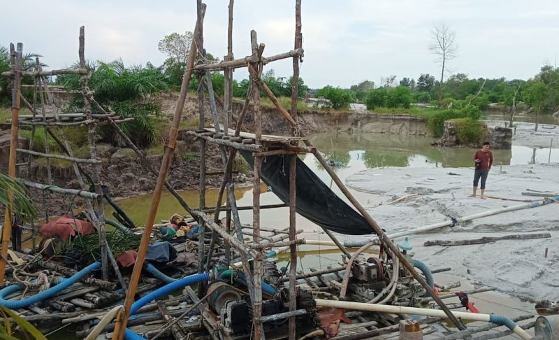 5 Dampak Tambang Timah Ilegal: Ancaman Serius bagi Lingkungan dan Kehidupan Masyarakat