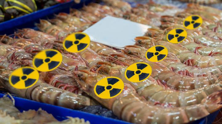 Udang Radioaktif dan Risiko Radiasi: 5 Fakta Ilmiah yang Perlu Diketahui