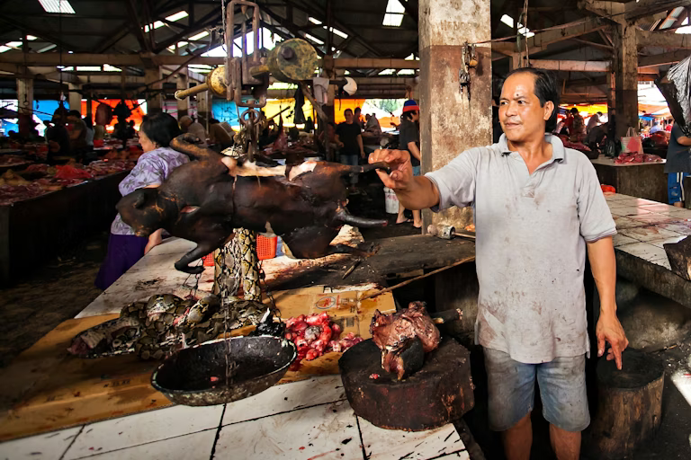 7 Fakta Pasar Hewan Indonesia yang Berpotensi Memicu Wabah Penyakit Baru