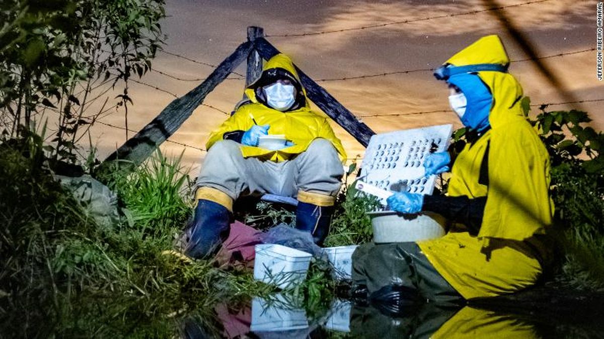 7 Hal Penting Tentang Ekologi yang Perlu Kamu Ketahui