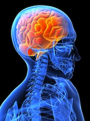 5 Fakta Menarik Tentang Neurosains dan Aplikasinya di Berbagai Bidang